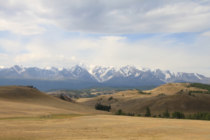 Mongolian contrasting landscape